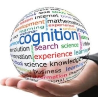 Cognitive Flexibility