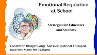 Emotional Regulation at School - Strategies for Educators and Students 